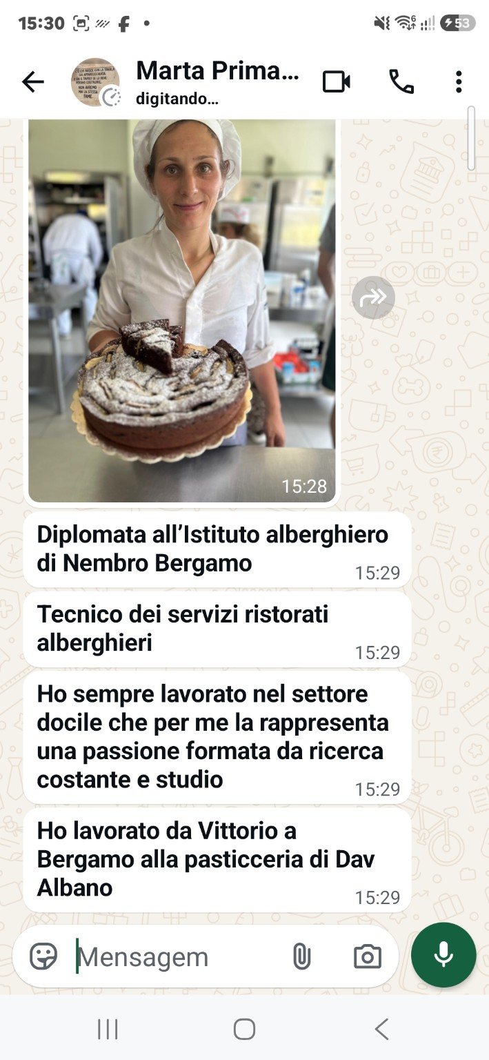 Apresentação profissional e fotografia em conversa enviada por Erica